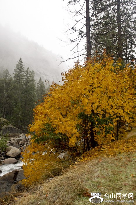 DSC_1156.jpg