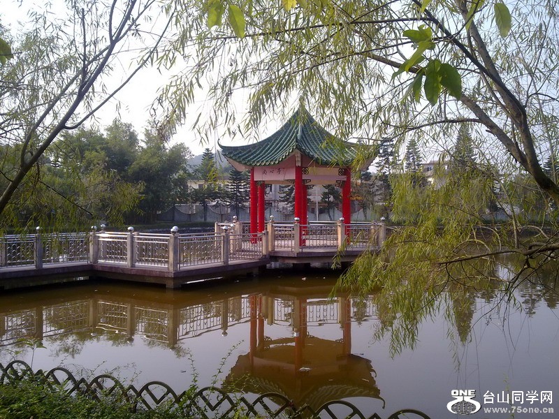 20101107631.jpg
