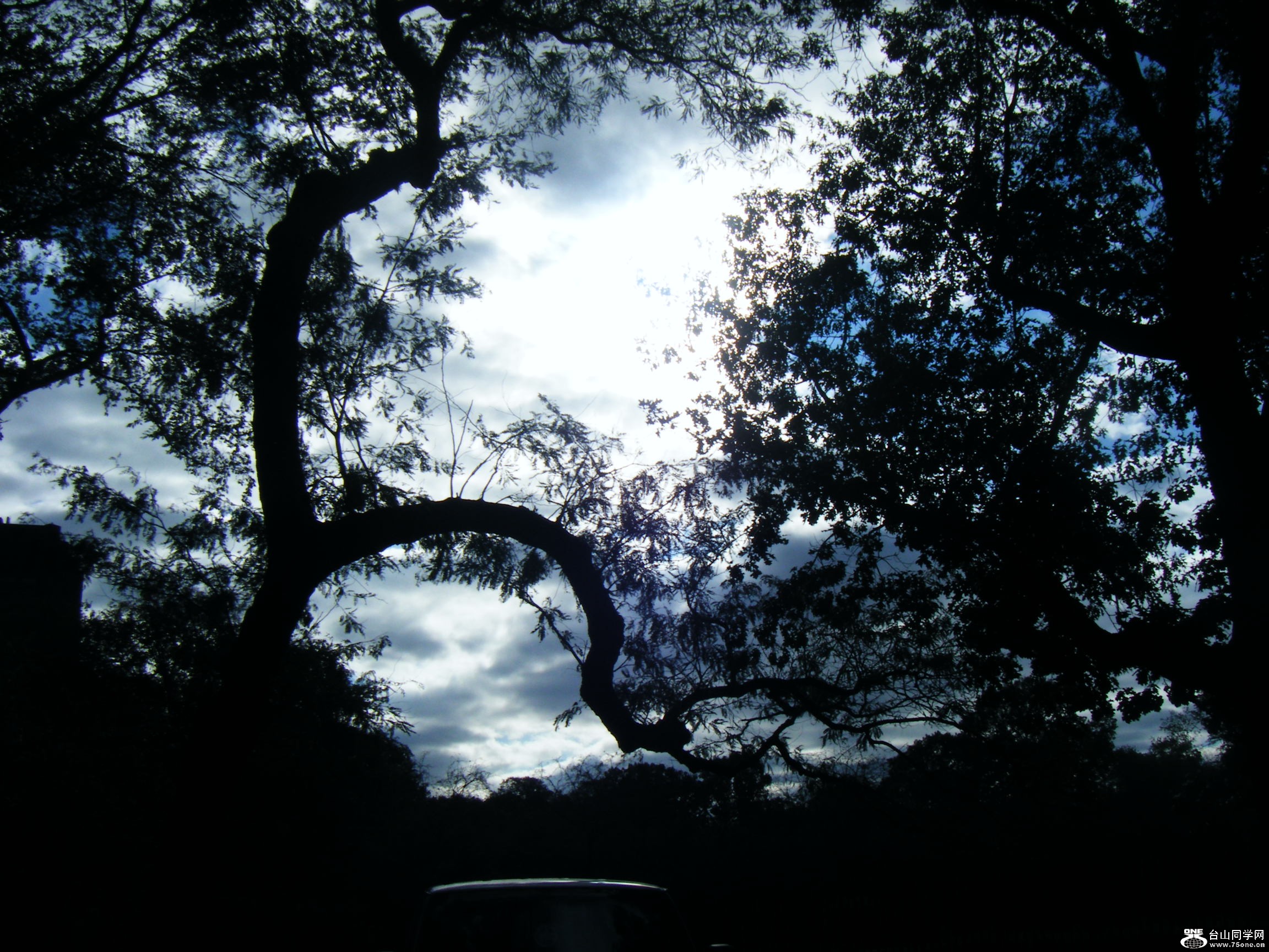 ~s(2011-10-11-26 301.JPG