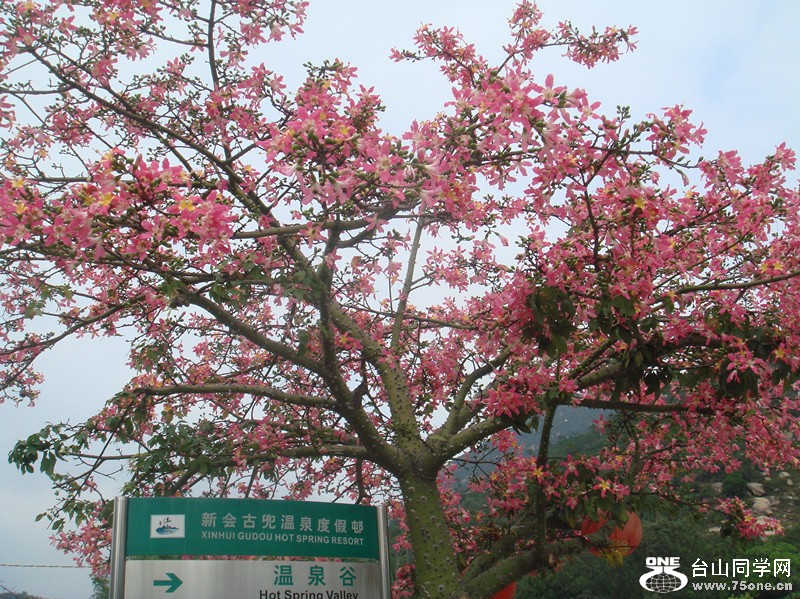 dsc00515_.jpg