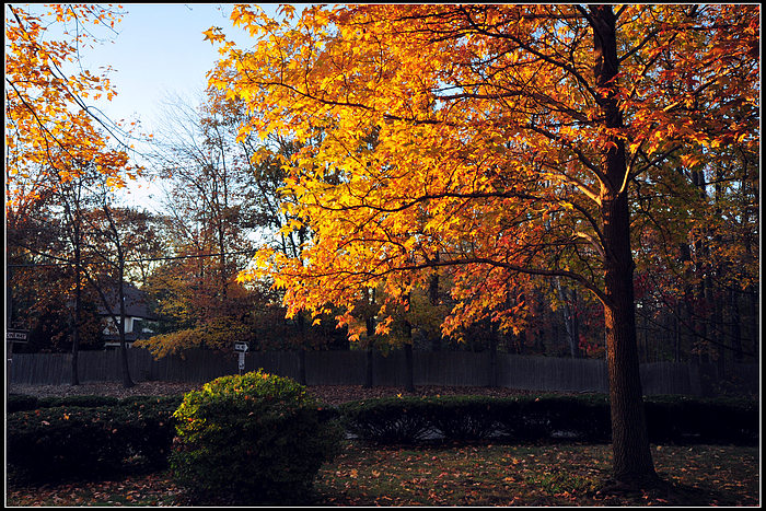 DSC_3705.JPG
