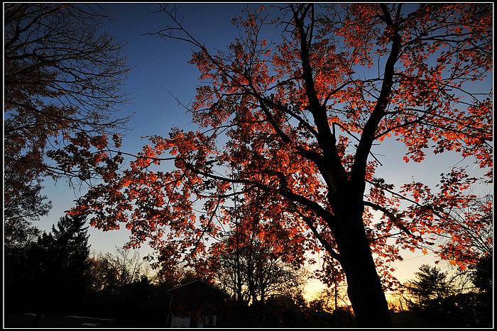 DSC_3715.JPG
