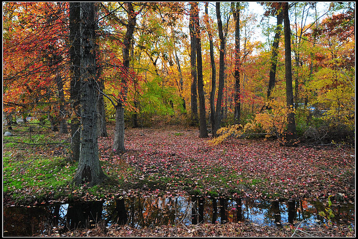 DSC_3751.JPG