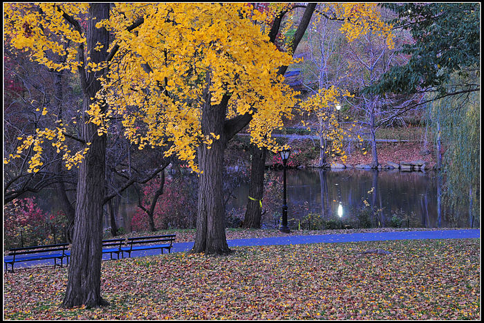 DSC_5224.JPG