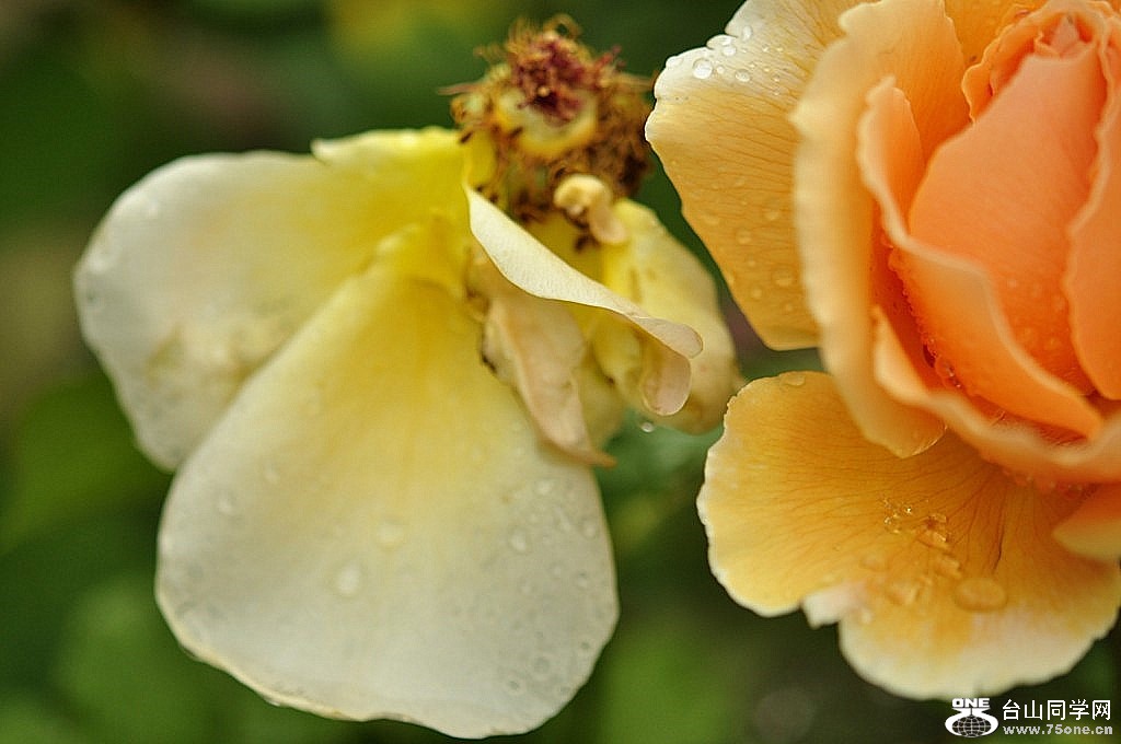 _DSC0104 [1024x768].JPG