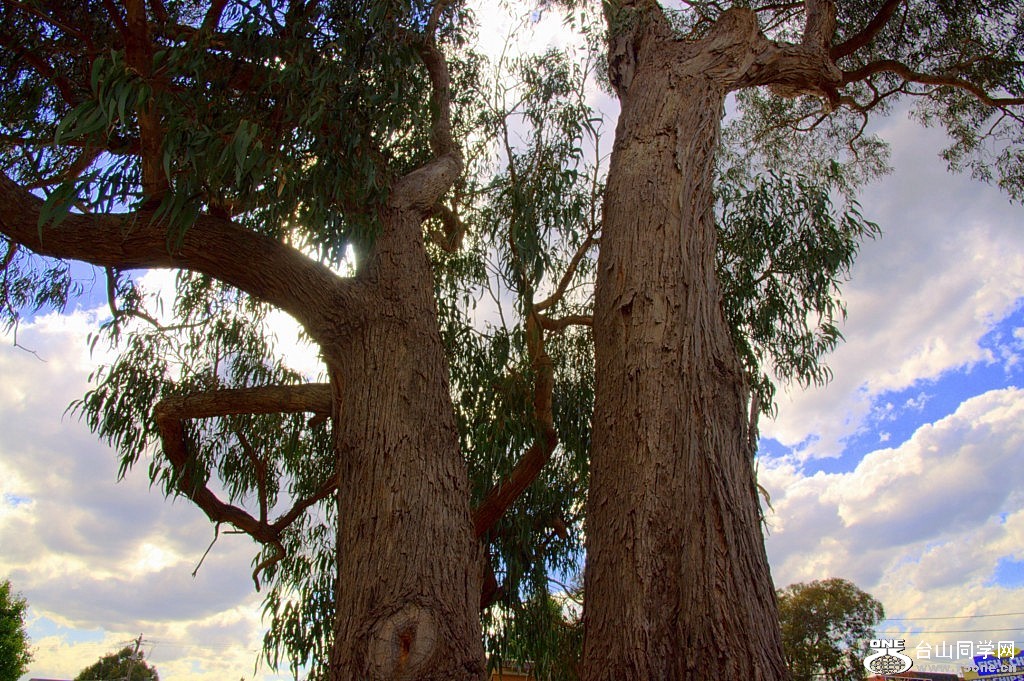 _DSC0955.NEF [1024x768].jpg