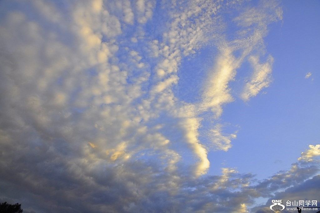 _DSC0963 [1024x768].JPG