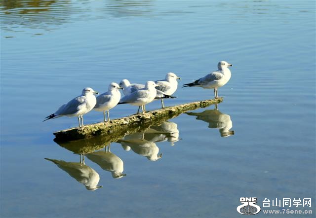 IMG_94444 (Small).jpg