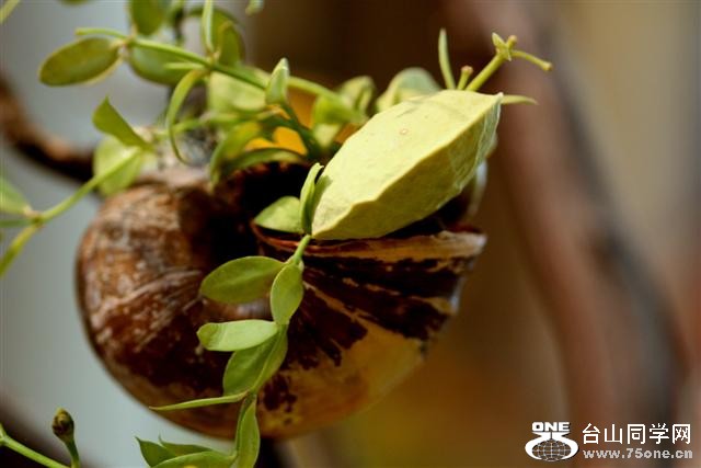 IMG_07766 (Small).jpg