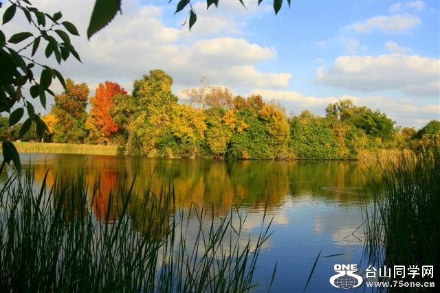 IMG_22522 (Small).jpg