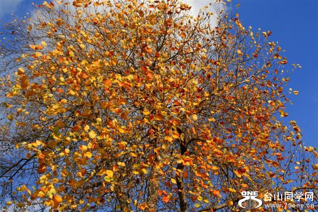 IMG_22533 (Small).jpg