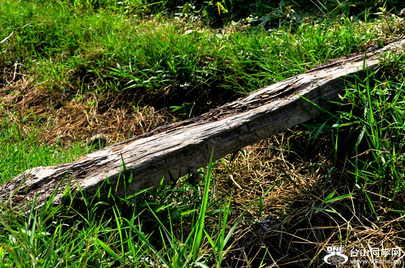 DSC_9942.jpg