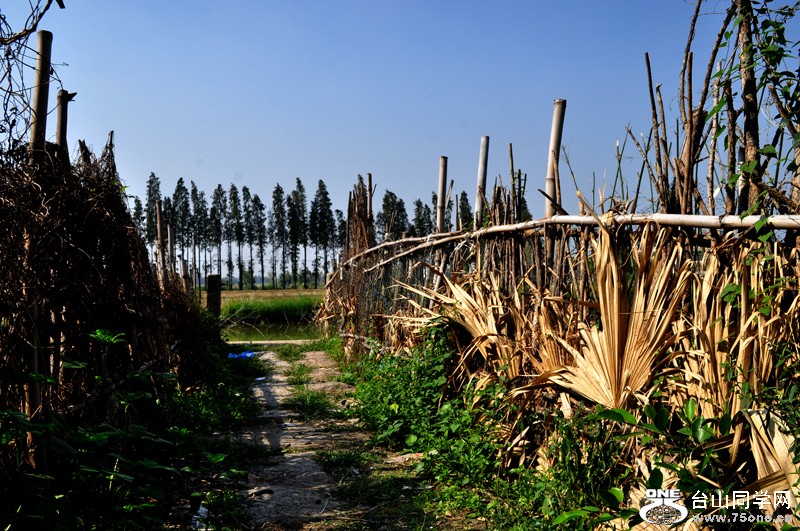 DSC_9902.jpg