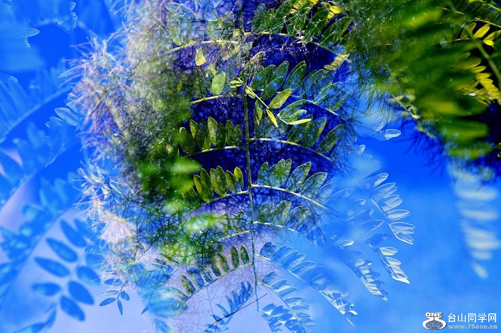 _CSC0762 [1024x768].JPG