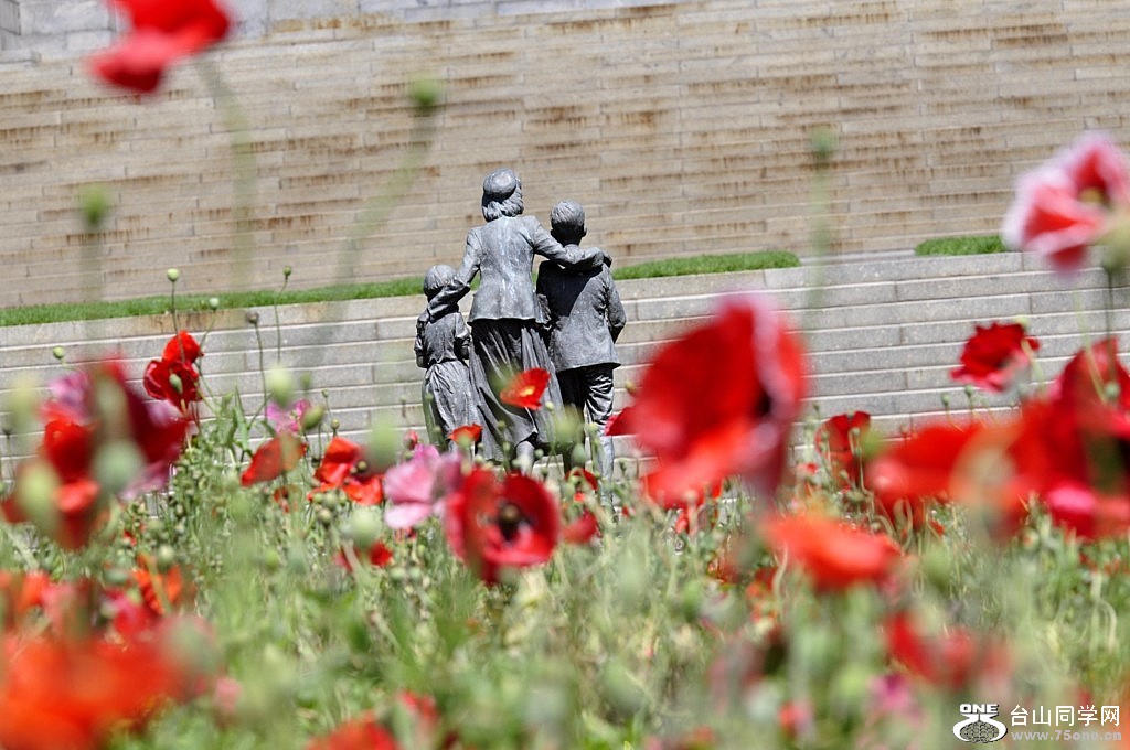 _DSC0310 [1024x768].JPG