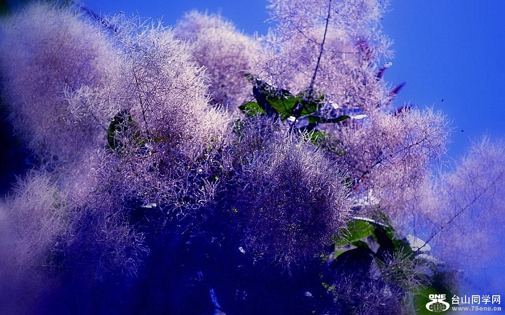 _CSC0797 [1024x768].JPG