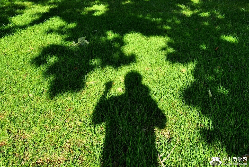 _DSC0750 [1024x768].JPG