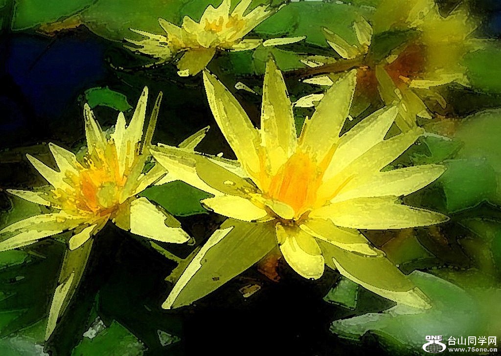 22 [800x600] [1024x768].jpg