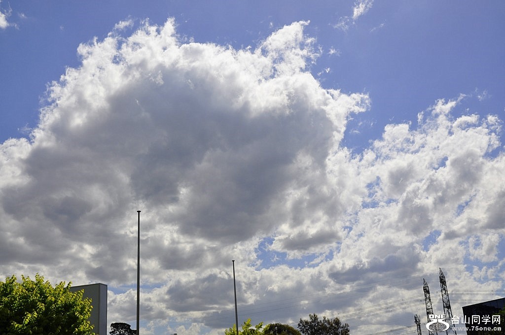 _DSC0828 [1024x768].JPG