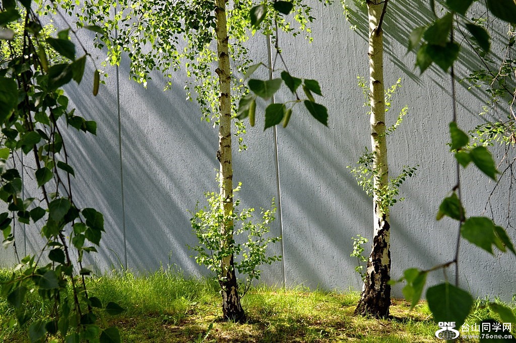 _DSC0821 [1024x768].JPG