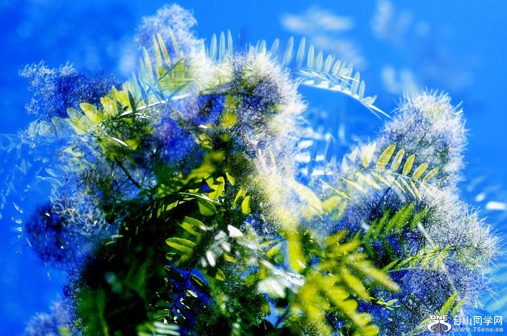 _CSC0840 [800x600] [1024x768].jpg