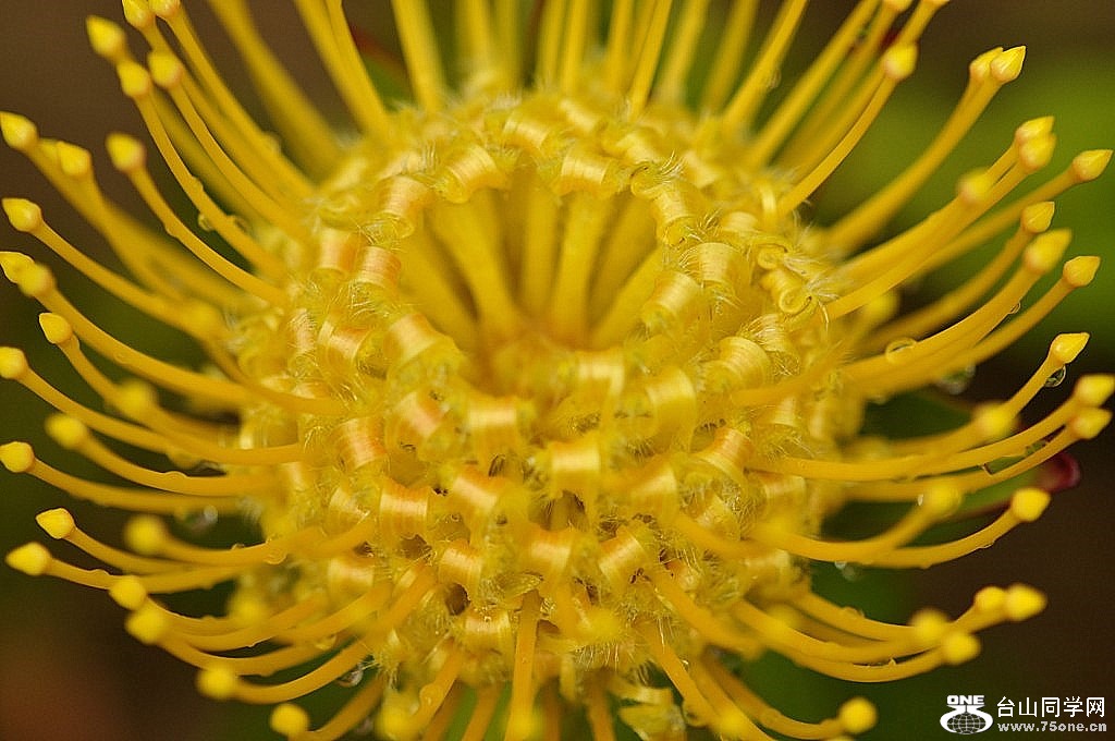 _DSC0094 [1024x768].JPG