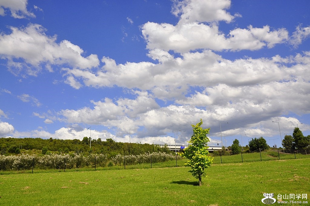 _DSC0816 [1024x768].JPG