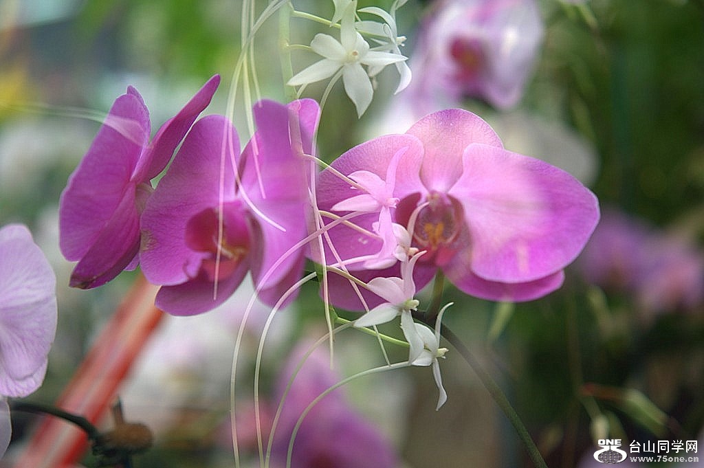 _DSC0034.NEF [1024x768].jpg