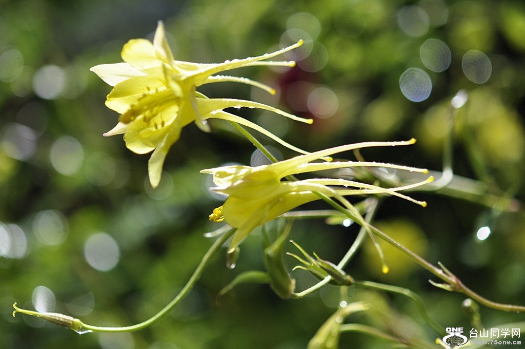 _DSC0119 [1024x768] (2).JPG