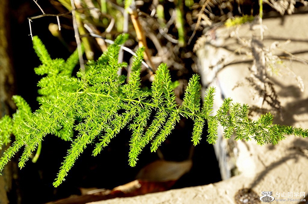 _DSC0783 [1024x768].JPG