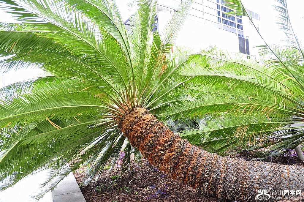 _DSC0161 [1024x768].JPG