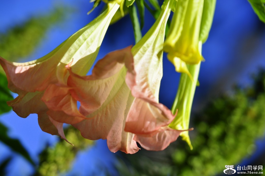 _DSC0220 [1024x768].JPG