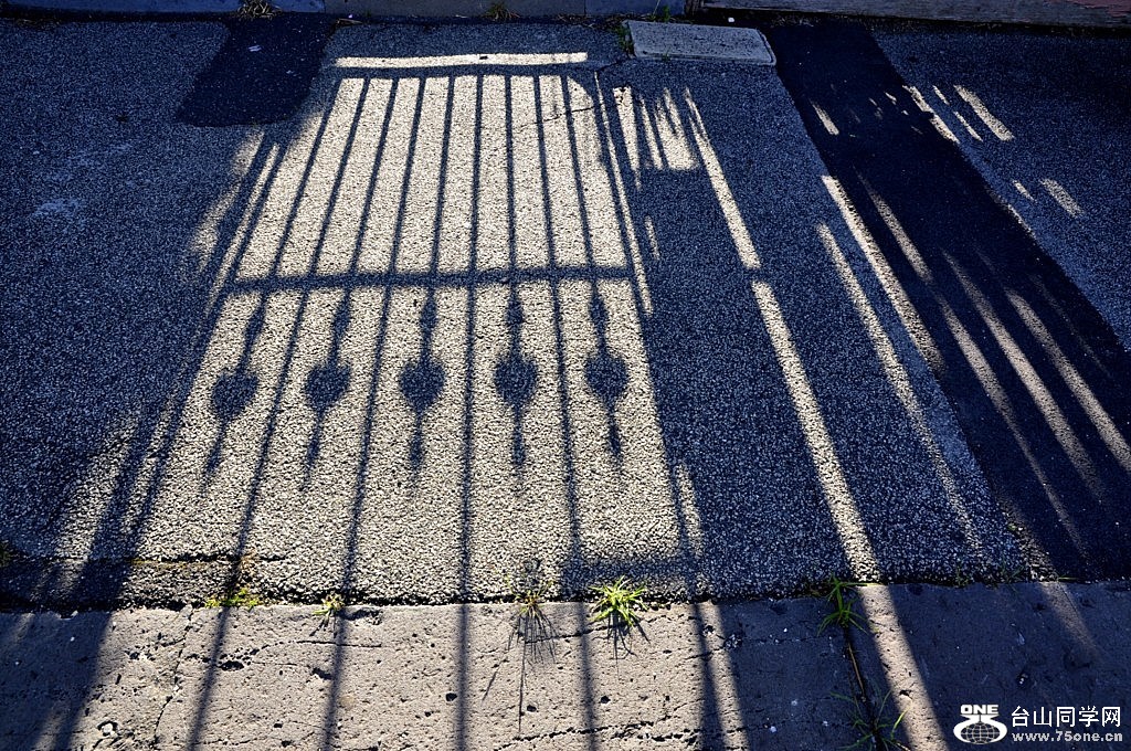 _DSC0776 [1024x768].JPG