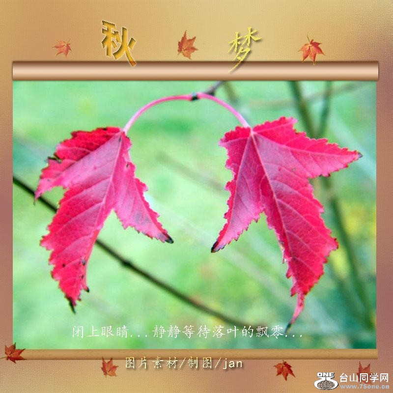 90_3812_823106e67be8bc5-copy.jpg