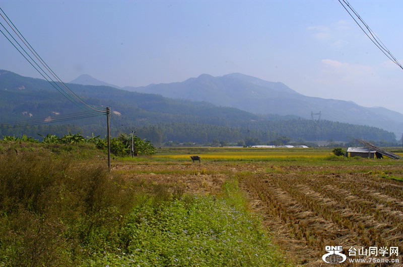 dsc_0337_.jpg
