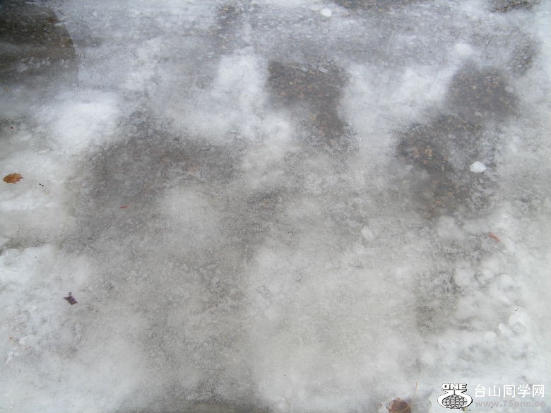 DSCF9493.JPG