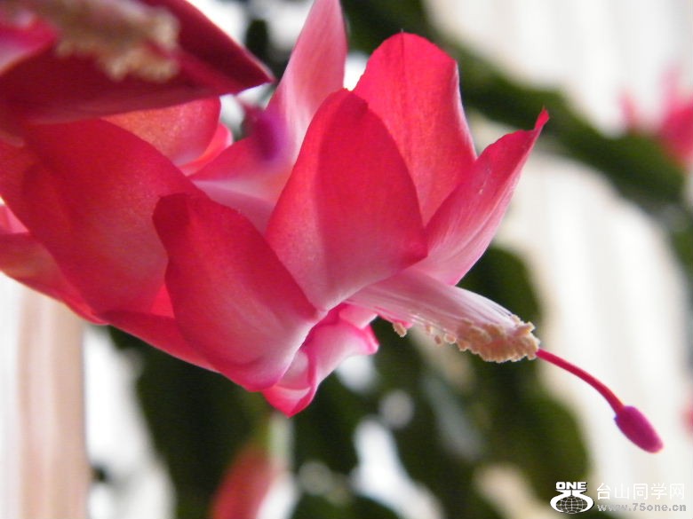 DSCF9670.JPG