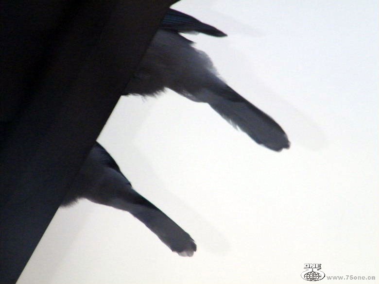 DSCF9405.JPG