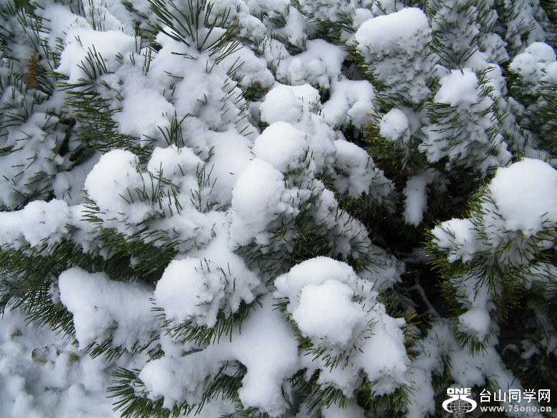 DSCF9435.JPG