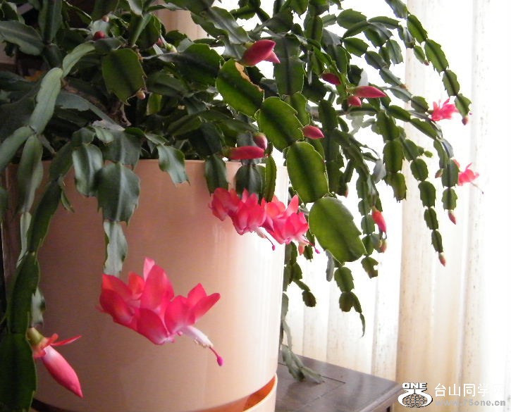 DSCF9683.JPG