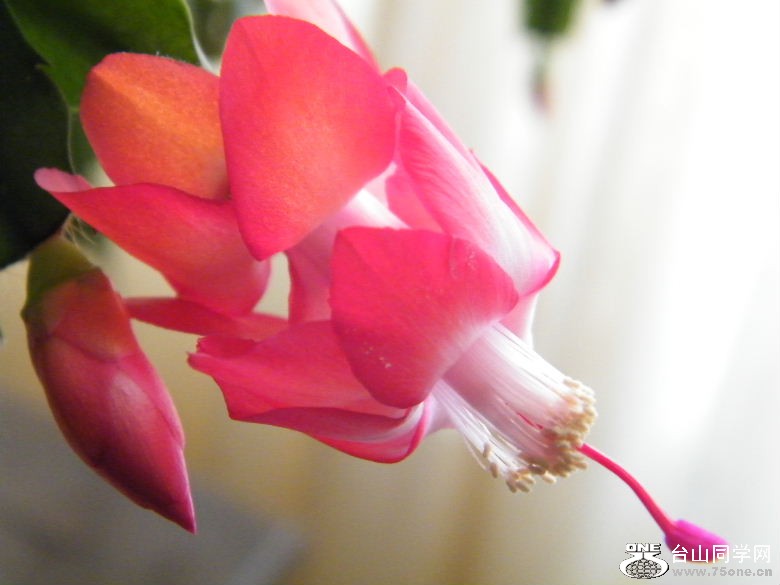 DSCF9627.JPG