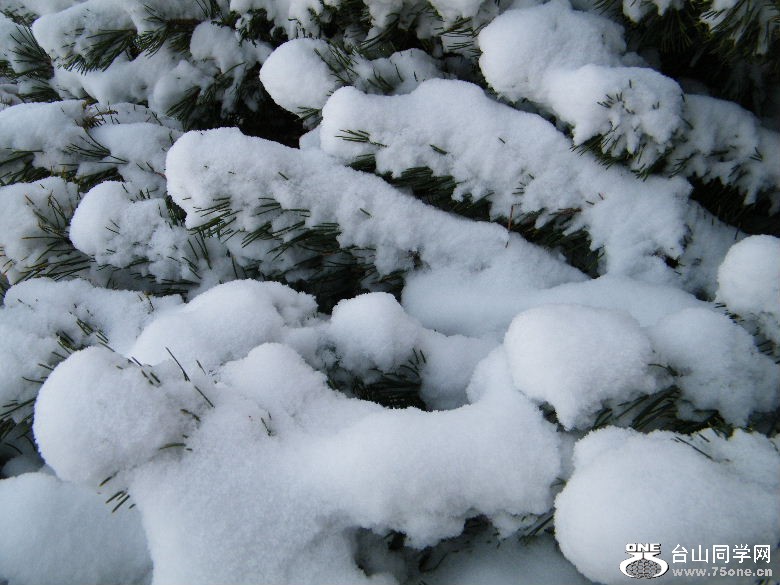 DSCF9476.JPG