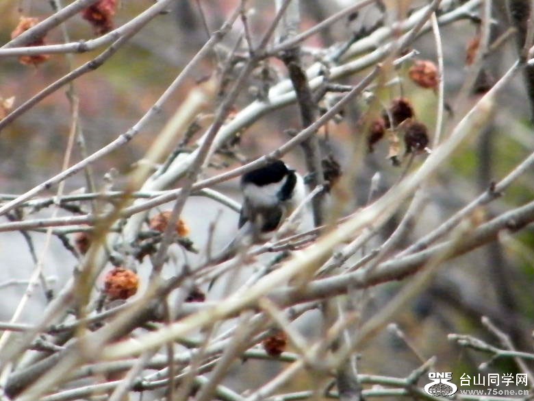 DSCF9422.JPG