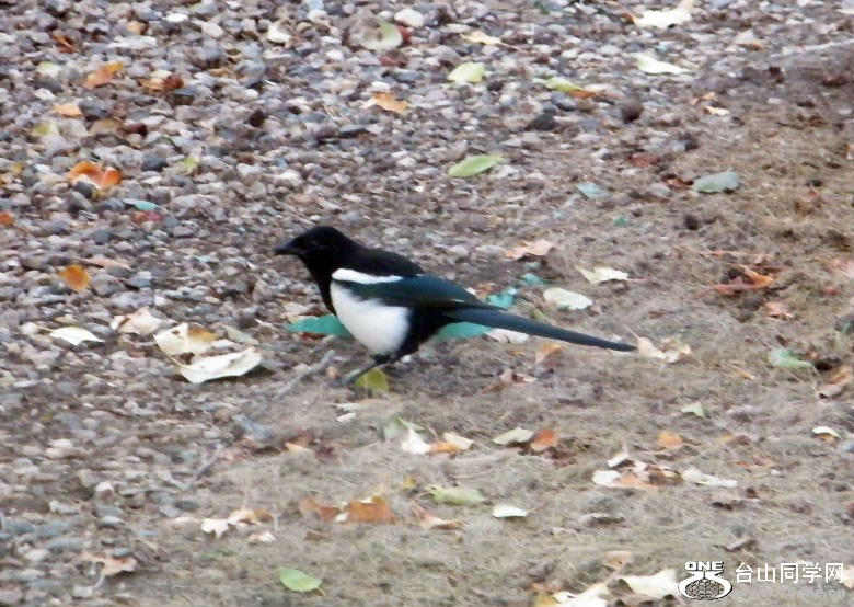 DSCF9403.JPG