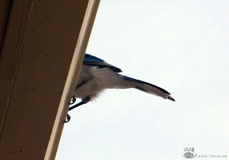 DSCF9411.JPG