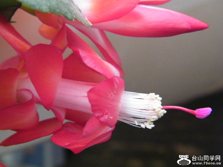DSCF9624.JPG