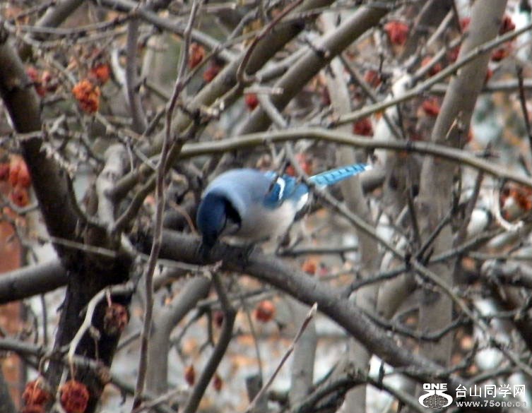 DSCF9419.JPG