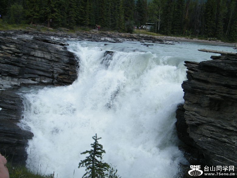 DSCF5220.JPG