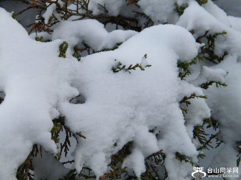 DSCF9477.JPG