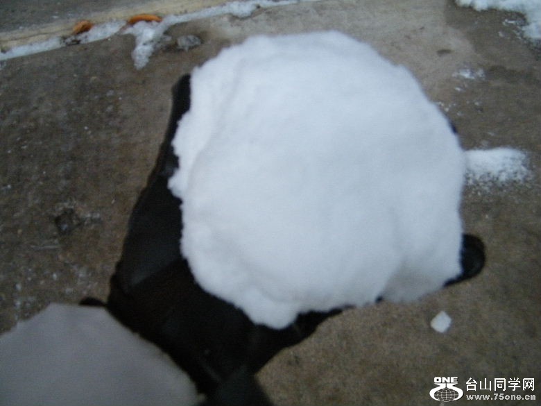DSCF9480.JPG